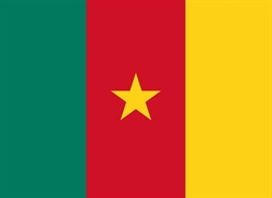 [ai] The national flag of Cameroon, featuring three vertical stripes of green, red, and yellow. A yellow five-pointed star is centered in the red stripe.